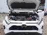 2T3P1RFV8PC****** Reparables 2023 Toyota RAV4 en Billings