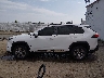 2T3P1RFV8PC****** Salvamento 2023 Toyota RAV4