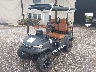7ZTDSD1A8SA****** Used and Repairable 2025 Dach Golf Cart in Rec Rides Online Exclusive