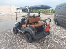 7ZTDSD1A8SA****** Salvage and Repairable 2025 Dach Golf Cart in Rec Rides Online Exclusive