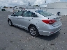 5NPE24AF6GH****** Salvage and Repairable 2016 Hyundai Sonata in Clearwater