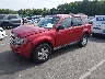 1FMCU03G39K****** Used and Repairable 2009 Ford Escape in Raleigh