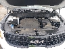 5XYP5DGC7RG****** Reparables 2024 Kia Telluride en Metro DC