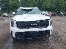 5XYP5DGC7RG****** Usados 2024 Kia Telluride en Estado de Maryland