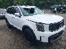 5XYP5DGC7RG****** Salvamento y Reparables 2024 Kia Telluride en Estado de Maryland