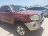 5TEUU42N26Z****** Salvage and Repairable 2006 Toyota Tacoma in Texas State