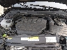 WVWGA7CD0PW****** Reparables 2023 Volkswagen Golf GTI en Elkton