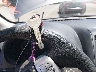 3N1CN7AP6HL****** Salvamento 2017 Nissan Versa en Estado de California