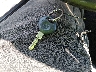 4USCH9338XL****** Salvage 1999 BMW Z3 in North Carolina State