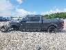 1FTFW1E57LK****** Salvage 2020 Ford F-150