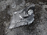 4S4BP86C154****** Salvage 2005 Subaru Outback in Alaska State