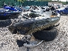 YDV9325***** Salvage and Wrecked 2021 Sea-Doo Fish Pro 170 in New York State