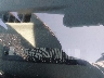 2CNBE13C9X6****** Used 1999 Chevrolet Tracker in Fremont