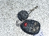 3GTP2WE76DG****** Salvage 2013 GMC Sierra 1500 in Texas State