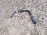1C4PJMCX3JD****** Wrecked 2018 Jeep Cherokee in Ohio State
