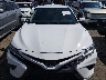 4T1B11HK2KU****** Destrozados 2019 Toyota Camry en Estado de Colorado