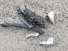 KMHCT4AEXEU****** Wrecked 2014 Hyundai Accent in New Jersey State