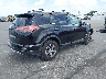 2T3WFREVXGW****** Salvage and Wrecked 2016 Toyota RAV4 in Florida State