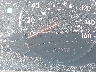 4T1BK36B67U****** Destrozados 2007 Toyota Avalon