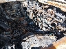 KM8JT3AF2FU****** Used and Repairable 2015 Hyundai Tucson in New Mexico State