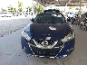 1N4AA6AP3GC****** Destrozados 2016 Nissan Maxima en Estado de Florida