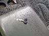 1B7FL26XXXS****** Salvamento 1999 Dodge Dakota en Estado de California