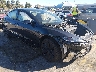 5YJ3E1EA9RF****** Salvage and Wrecked 2024 Tesla Model 3 in Fremont