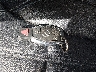 4JGDF7CE2EA****** Salvage 2014 Mercedes-Benz GLC-Class in Kentucky State