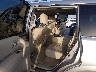 JN8AZ2NFXF9****** Wrecked 2015 Infiniti QX80 in Fort Worth North