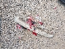 KL7CJLSB0LB****** Wrecked 2020 Chevrolet Trax in Ohio State