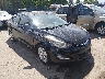 5NPDH4AE6GH****** Salvage and Wrecked 2016 Hyundai Elantra in Denver East