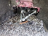 1FA6P8TH8T5****** Repairable 2026 Ford Mustang