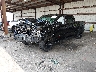 3GTUUFE81RG****** Used and Repairable 2024 GMC Sierra 1500 in Jacksonville