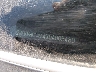 KMHEC4A4XBA****** Wrecked 2011 Hyundai Sonata Hybrid in Oklahoma State