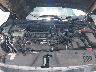 19XFC1F34LE****** Repairable 2020 Honda Civic in Tampa