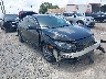 19XFC1F34LE****** Salvage and Wrecked 2020 Honda Civic in Tampa