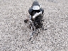 JS1VY55A392****** Used and Repairable 2009 Suzuki VZ1500 in Kentucky State