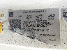 1GC3KSE78SF****** Used 2025 Chevrolet Silverado 3500 HD in Missoula