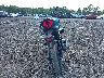 LCEPESLB5S6****** Salvamento y Reparables 2025 CF Moto 450nk en Estado de Ohio
