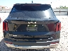5XYRL4JC7SG****** Usados 2025 Kia Sorento