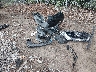 5N1BT3BA0PC****** Destrozados 2023 Nissan Rogue en Estado de Carolina del Sur