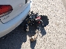 WVWHD7AJ7EW****** Salvage and Repairable 2014 Volkswagen Golf GTI in Colorado State