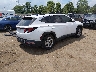 KM8JBCDE3RU****** Salvamento y Destrozados 2024 Hyundai Tucson en Estado de Ohio