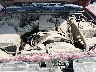 1GCDS136448****** Reparables 2004 Chevrolet Colorado en Saint Louis