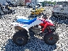 1HFTE2708TJ****** Destrozados 2026 Honda TRX250X en Estado de Pennsylvania