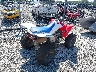 1HFTE2708TJ****** Salvamento y Destrozados 2026 Honda TRX250X en Estado de Pennsylvania