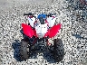 1HFTE2708TJ****** Usados y Reparables 2026 Honda TRX250X en Estado de Pennsylvania