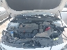 5XXGT4L3XKG****** Repairable 2019 Kia Optima in Cleveland