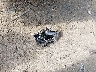 1D7HL38N24S****** Wrecked 2004 Dodge Dakota in Indiana State