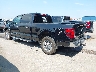 1FTFW5LD9RF****** Salvage and Repairable 2024 Ford F-150 in Omaha South